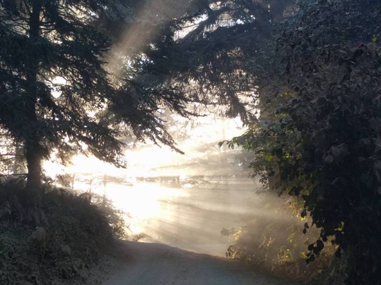 13882556_10210022351424701_5667365295188444827_n